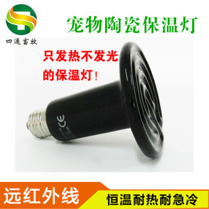 探尋寵物蜂產(chǎn)業(yè) 從價(jià)格、采購到供應(yīng)商的全面解析
