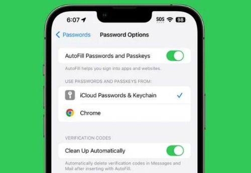 iOS 17新特性深度解析 自動(dòng)清理短信驗(yàn)證碼與那些不容忽視的細(xì)節(jié)改進(jìn)